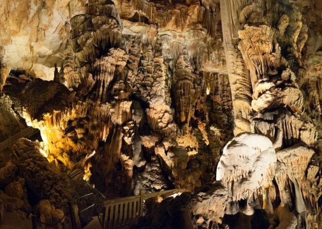 Salta la coda biglietto d’ingresso oscuro alla grotte de baume