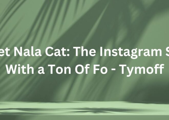 Meet Nala Cat: The Instagram Star With a Ton Of Fo – Tymoff