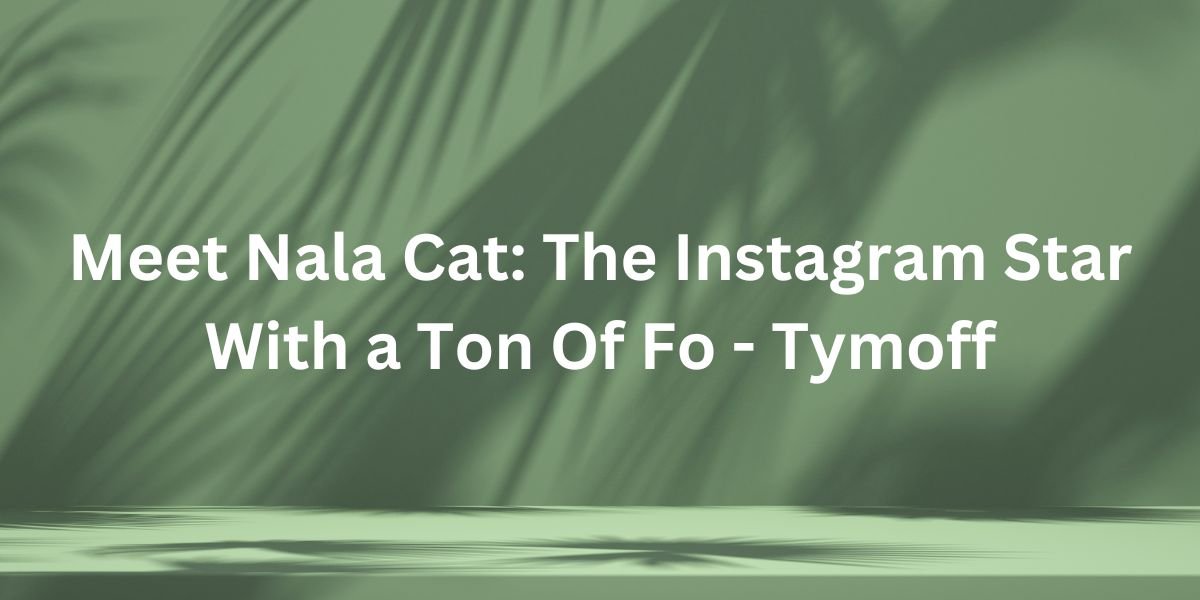 Meet Nala Cat: The Instagram Star With a Ton Of Fo – Tymoff