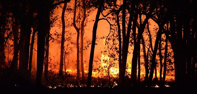 Bushfire Preparedness in Perth: A Guide to Understanding Your BAL Report